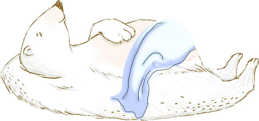 Bear (polar bear) in a deep sleep with blue blanket